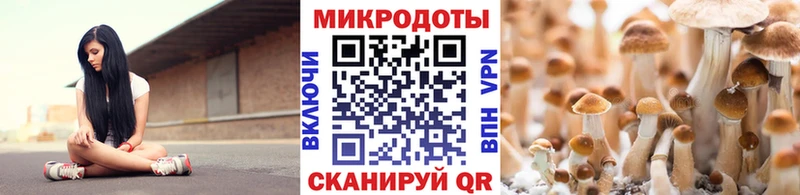 Псилоцибиновые грибы MAGIC MUSHROOMS  Инсар 